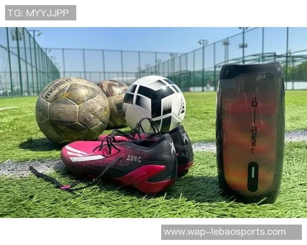 迷你足球狗的快乐时光与精彩瞬间分享