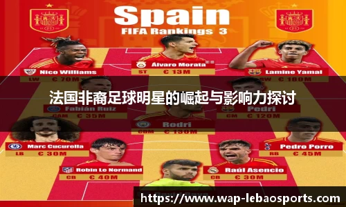 法国非裔足球明星的崛起与影响力探讨